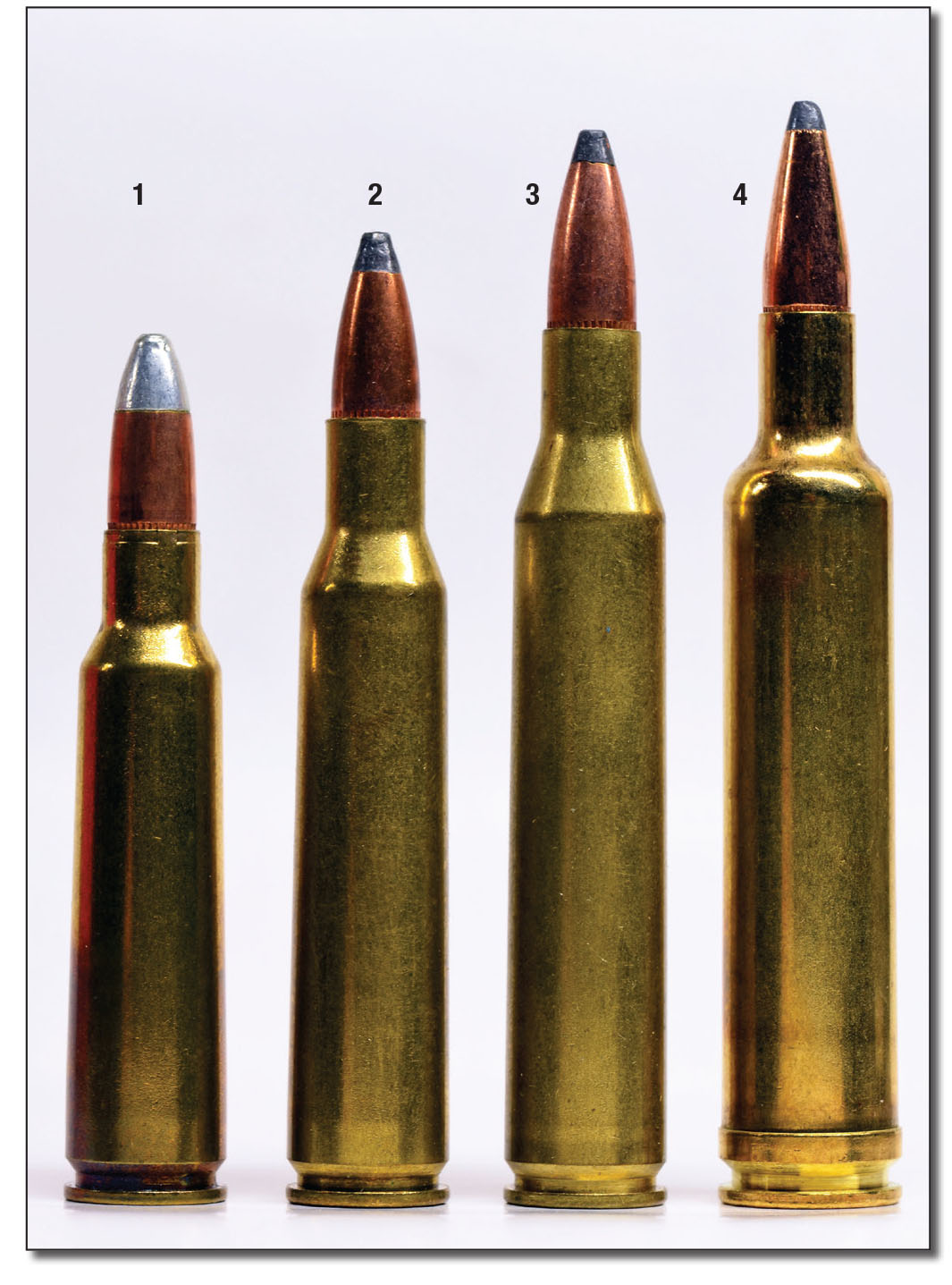 The quarter-inch family: (1) 250-3000, (2) 257 Roberts, (3) 25-06 and (4) 257 Weatherby.